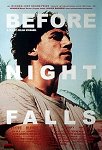 Before Night Falls one-sheet