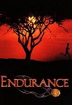 Endurance poster